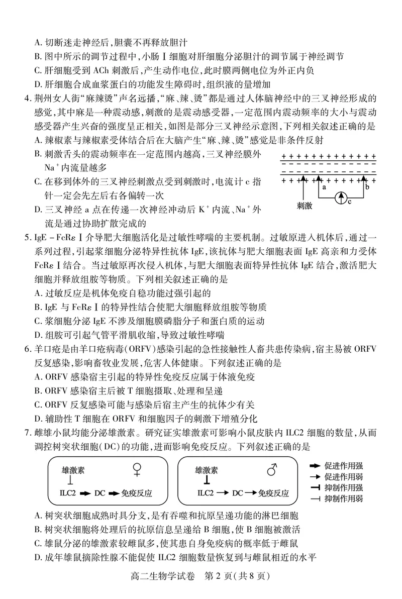 高二生物学_2025年7月_250715湖北省荆州市2024-2025学年高二年级质量检测（全科）_生物