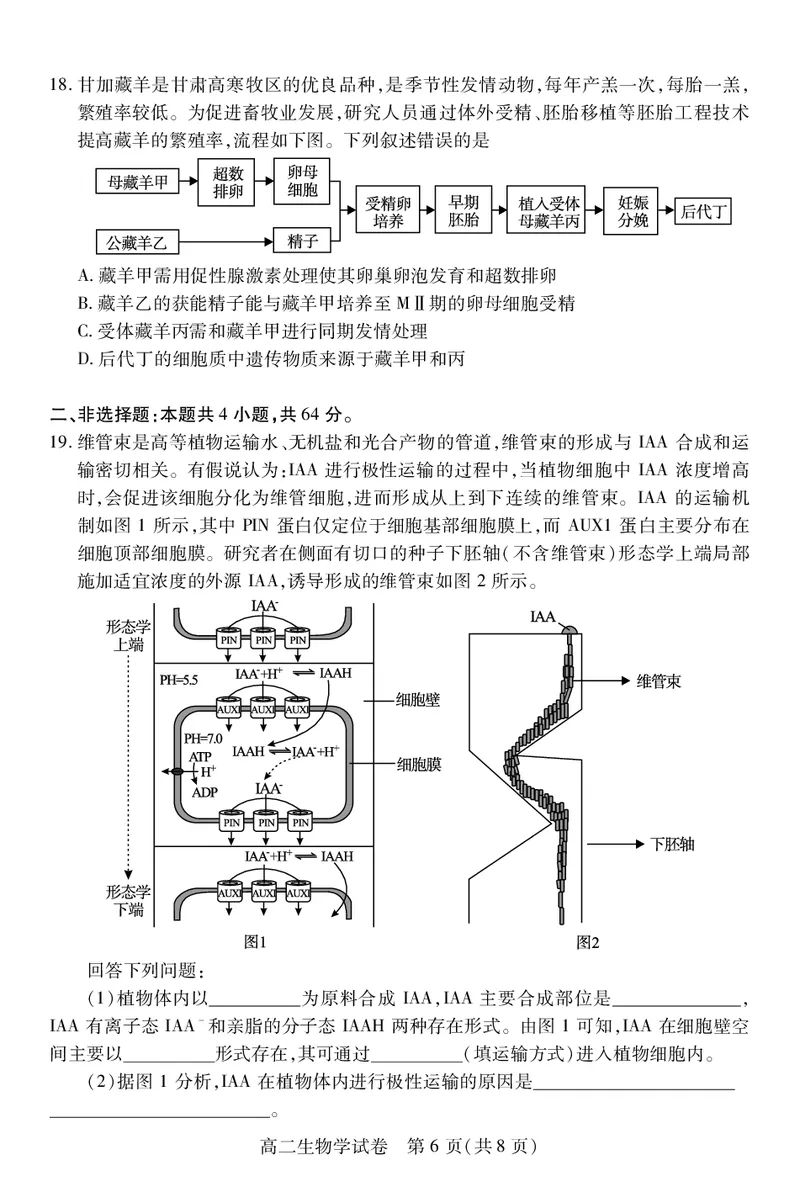 高二生物学_2025年7月_250715湖北省荆州市2024-2025学年高二年级质量检测（全科）_生物