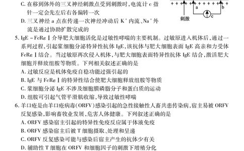 高二生物学_2025年7月_250715湖北省荆州市2024-2025学年高二年级质量检测（全科）_生物