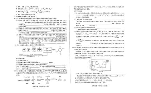 天一大联考2023-2024学年高三上学期冬季教学质量检测化学_2024届安徽省天一大联考高三上学期冬季教学质量检测_安徽省天一大联考2024届高三上学期冬季教学质量检测化学