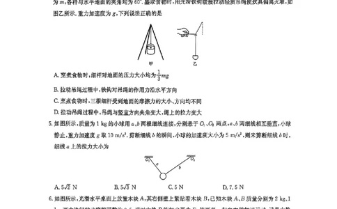 物理试卷-洛阳强基联盟高二7月联考_2025年7月_250713河南省洛阳市强基联盟2025年7月高二下学期期末联考（全科）_河南省洛阳市强基联盟2025年7月高二下学期期末联考物理