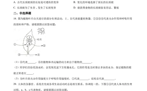 精品解析：2022年湖北省十堰市结业考试生物试题（原卷版）_中考真题_8.生物中考真题2015-2024年_2022年全国中考生物114份14
