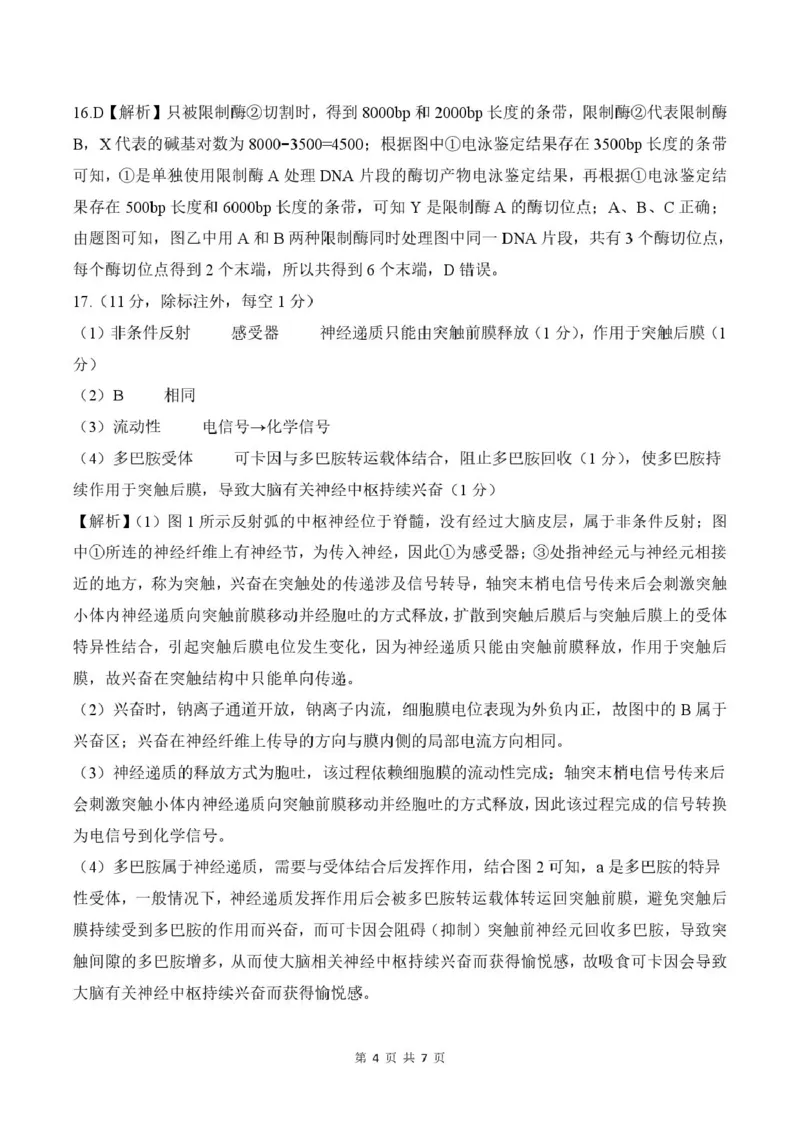 答案_2025年7月_250725甘肃省百师联盟2024-2025学年高二下学期期末考试_0823204624_甘肃省武威市2024-2025学年高二下学期7月期末生物试题