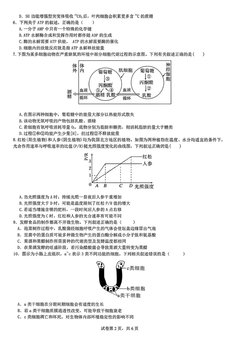 生物试题-四川省成都市第七中学2024-2025学年度下期高2026届零诊模拟考试_2025年6月_250625四川省成都市第七中学2024-2025学年度下期高2026届零诊模拟考试（全科）