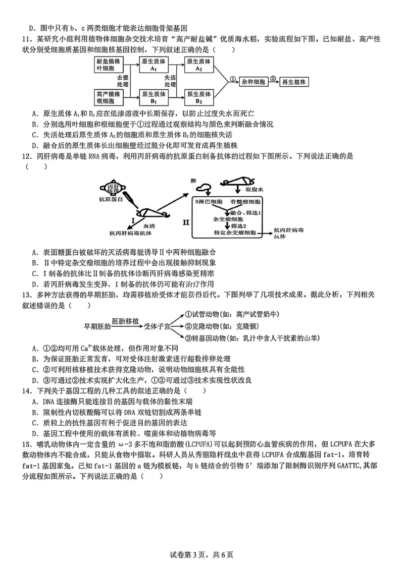 生物试题-四川省成都市第七中学2024-2025学年度下期高2026届零诊模拟考试_2025年6月_250625四川省成都市第七中学2024-2025学年度下期高2026届零诊模拟考试（全科）