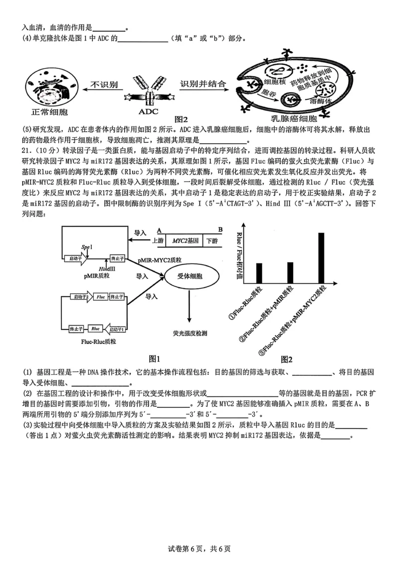 生物试题-四川省成都市第七中学2024-2025学年度下期高2026届零诊模拟考试_2025年6月_250625四川省成都市第七中学2024-2025学年度下期高2026届零诊模拟考试（全科）