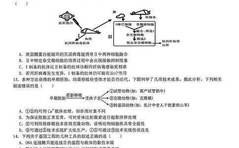 生物试题-四川省成都市第七中学2024-2025学年度下期高2026届零诊模拟考试_2025年6月_250625四川省成都市第七中学2024-2025学年度下期高2026届零诊模拟考试（全科）
