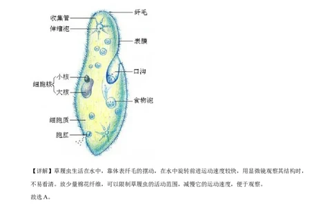 精品解析：2022年山西省阳泉市、长治市中生物真题题（解析版）_中考真题_8.生物中考真题2015-2024年_2022年全国中考生物114份14
