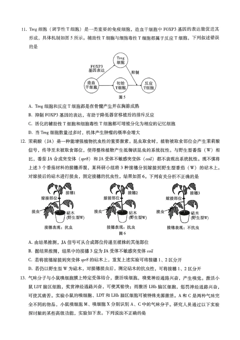 重庆市巴蜀中学2026届高考适应性月考卷（五）生物_2025年12月_251228重庆市巴蜀中学2026届高考适应性月考卷（五）（全科）