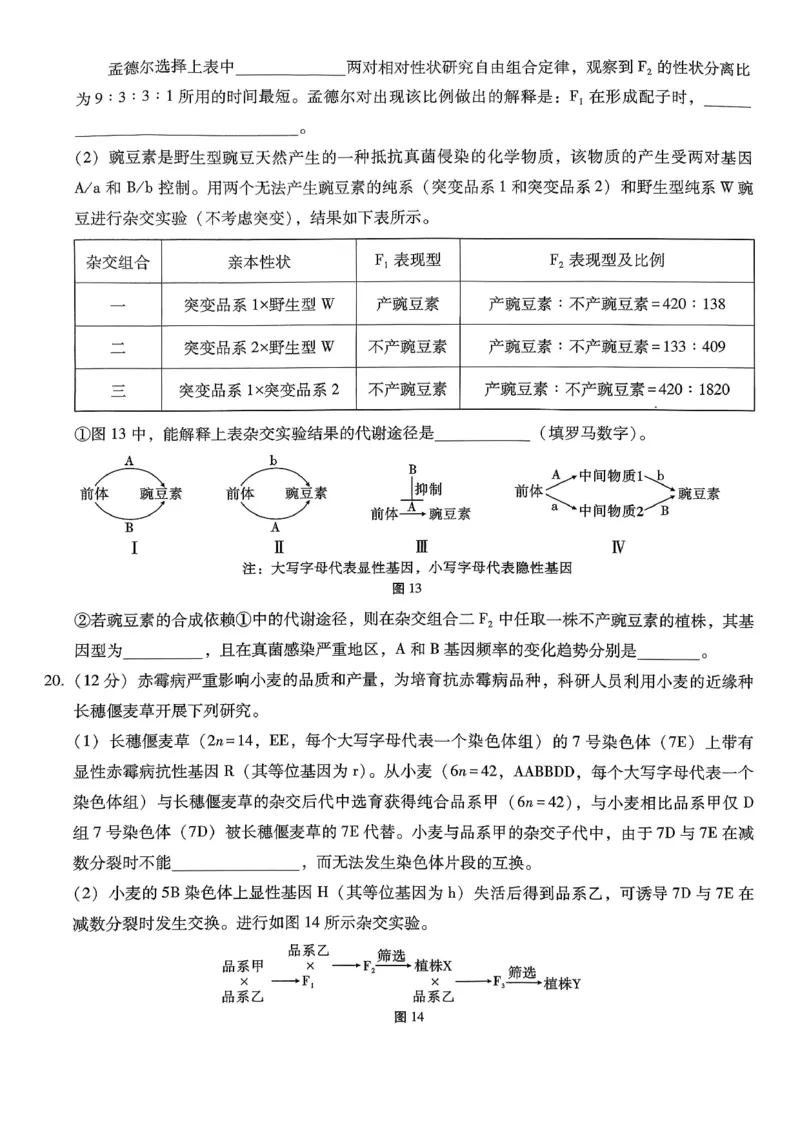重庆市巴蜀中学2026届高考适应性月考卷（五）生物_2025年12月_251228重庆市巴蜀中学2026届高考适应性月考卷（五）（全科）
