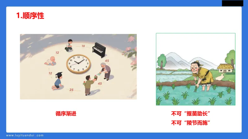 科一幼儿教育观+儿童观模板_4-教培资料-26年最新资料-同步更新_幼儿教资_幼儿冲刺急救包_5.L姨冲刺70分[急救班]_幼儿冲刺抢分课（25下急救班）_科一_配套讲义