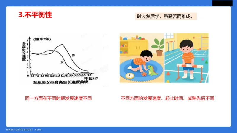 科一幼儿教育观+儿童观模板_4-教培资料-26年最新资料-同步更新_幼儿教资_幼儿冲刺急救包_5.L姨冲刺70分[急救班]_幼儿冲刺抢分课（25下急救班）_科一_配套讲义