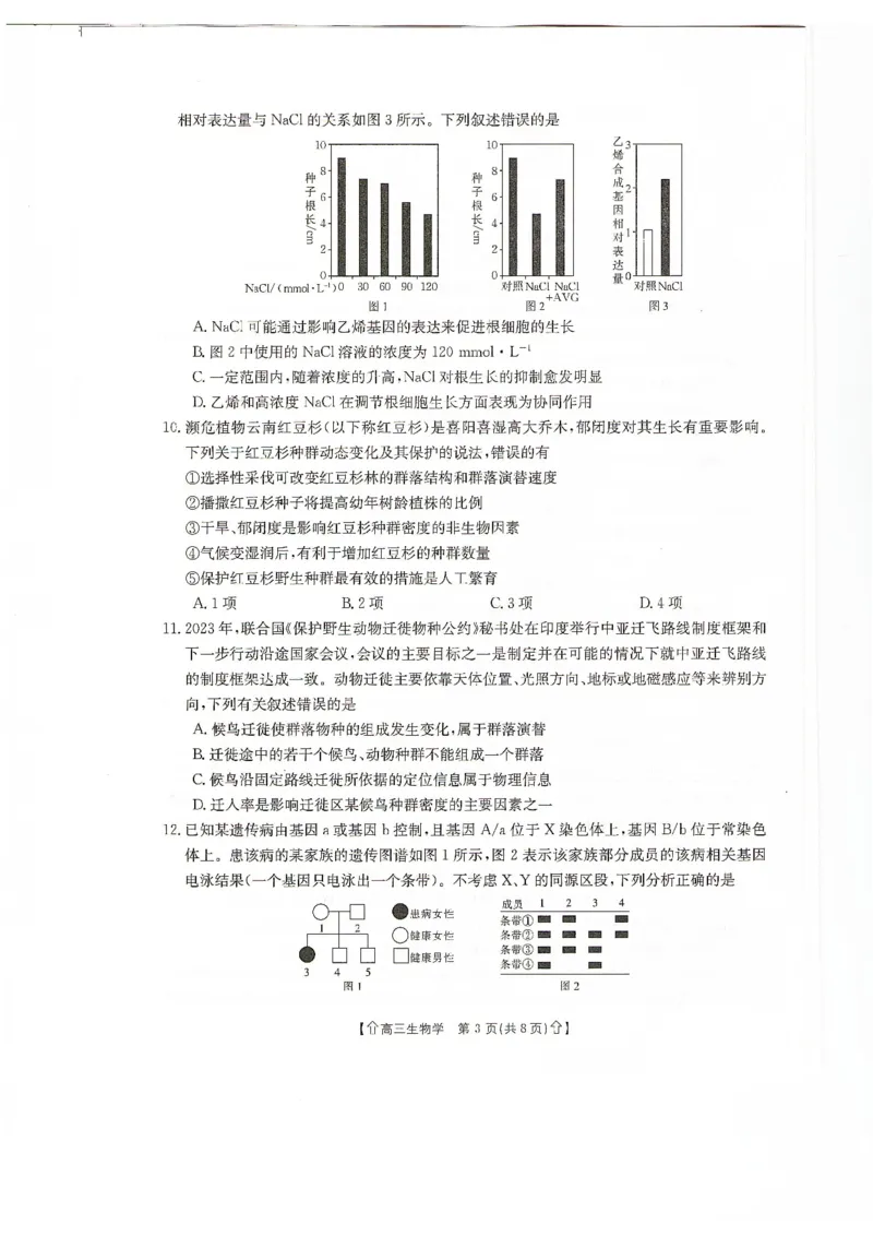 甘肃省2024届高三上学期1月阶段调考（金太阳角标箭头）生物_2024届甘肃省高三上学期1月阶段调考（金太阳角标箭头）