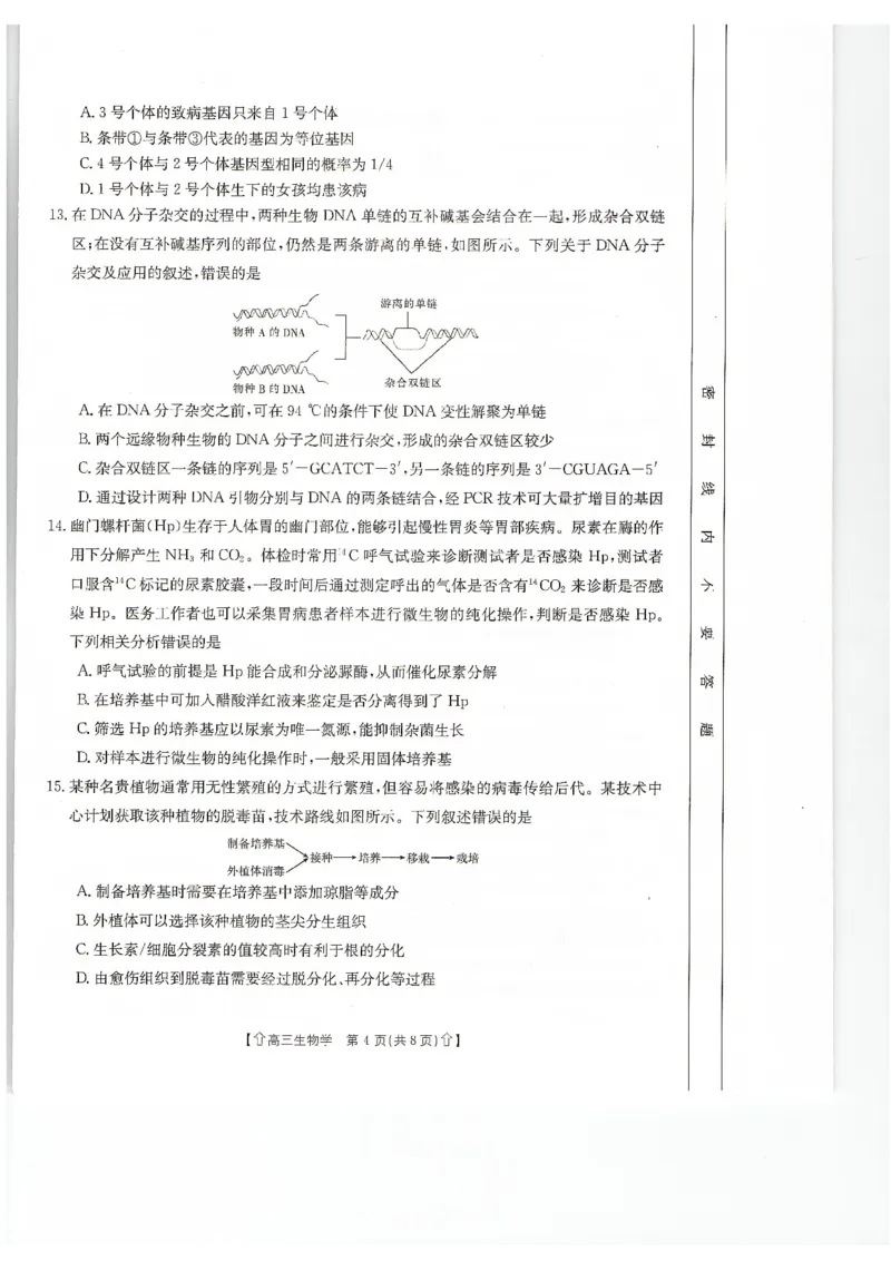 甘肃省2024届高三上学期1月阶段调考（金太阳角标箭头）生物_2024届甘肃省高三上学期1月阶段调考（金太阳角标箭头）