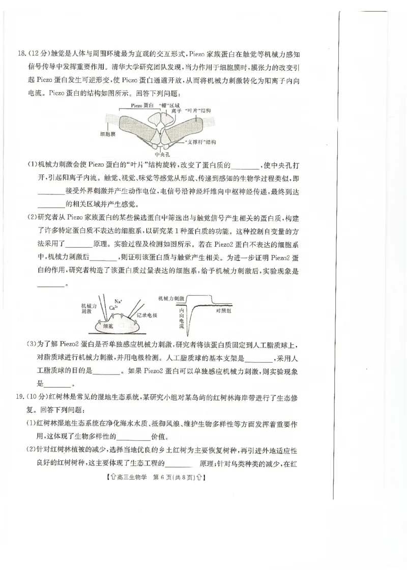 甘肃省2024届高三上学期1月阶段调考（金太阳角标箭头）生物_2024届甘肃省高三上学期1月阶段调考（金太阳角标箭头）