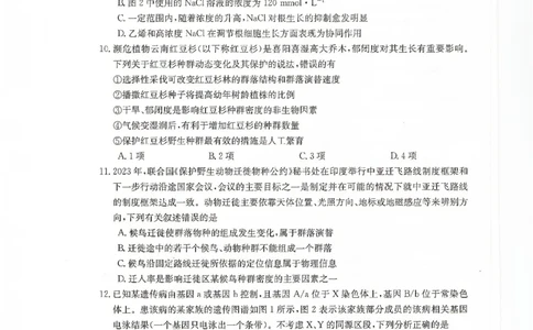 甘肃省2024届高三上学期1月阶段调考（金太阳角标箭头）生物_2024届甘肃省高三上学期1月阶段调考（金太阳角标箭头）