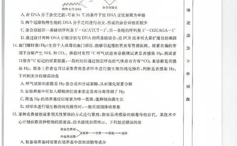 甘肃省2024届高三上学期1月阶段调考（金太阳角标箭头）生物_2024届甘肃省高三上学期1月阶段调考（金太阳角标箭头）