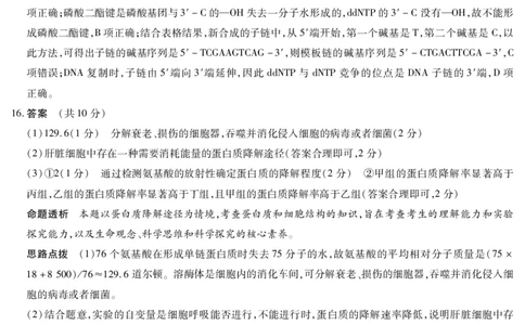 生物学安徽高三期中联考答案_2025年11月_251115天一大联考&middot;安徽省高三上学期11月期中联考（全科）_答案天一大联考&middot;安徽省高三上学期11月期中联考
