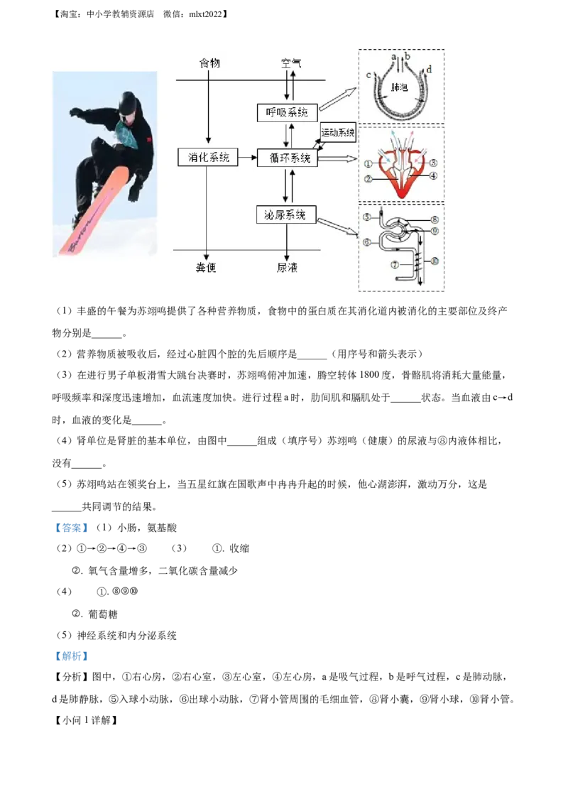 精品解析：2022年山东省菏泽市中考生物真题（解析版）_中考真题_8.生物中考真题2015-2024年_2022年全国中考生物114份14