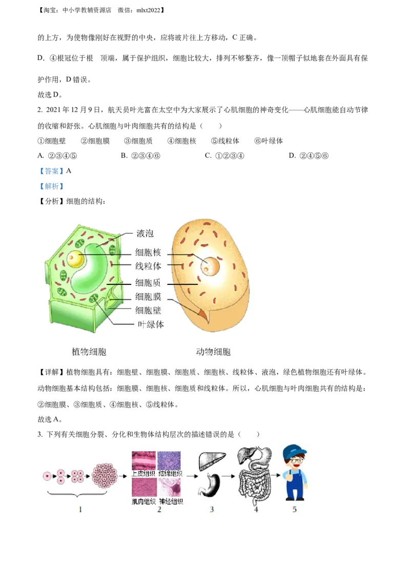 精品解析：2022年山东省菏泽市中考生物真题（解析版）_中考真题_8.生物中考真题2015-2024年_2022年全国中考生物114份14