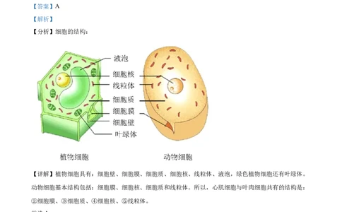 精品解析：2022年山东省菏泽市中考生物真题（解析版）_中考真题_8.生物中考真题2015-2024年_2022年全国中考生物114份14