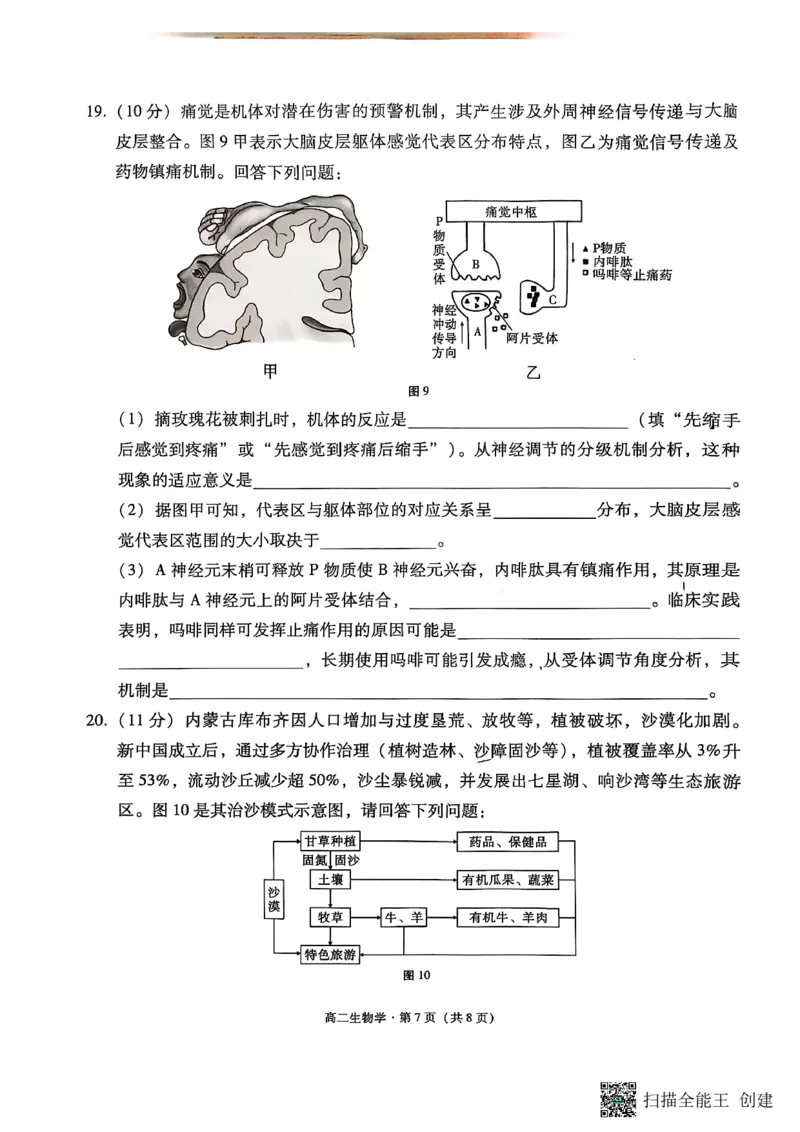 生物试卷（一）暨月考卷（七）_2025年6月_250618云南省云南师大附中2026届高考适应性月考卷（一）（全科）_云师大附中2026届高三高考适应性月考（一）-生物
