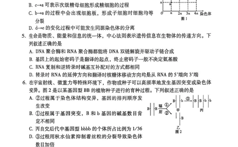 生物试卷（一）暨月考卷（七）_2025年6月_250618云南省云南师大附中2026届高考适应性月考卷（一）（全科）_云师大附中2026届高三高考适应性月考（一）-生物
