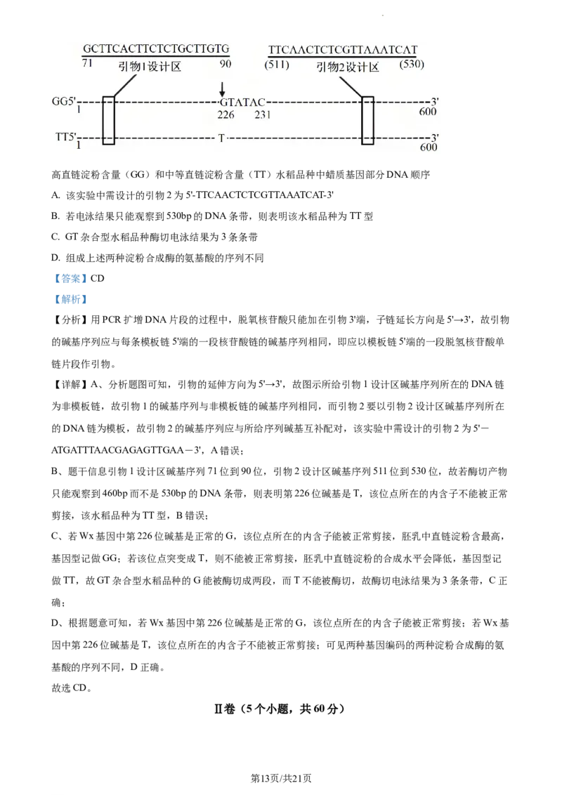 精品解析：湖南省衡阳市八中2023-2024学年高三12月月考生物试题（解析版）_2024届湖南省衡阳市第八中学高三上学期12月月考_湖南省衡阳市第八中学2024届高三上学期12月月考生物