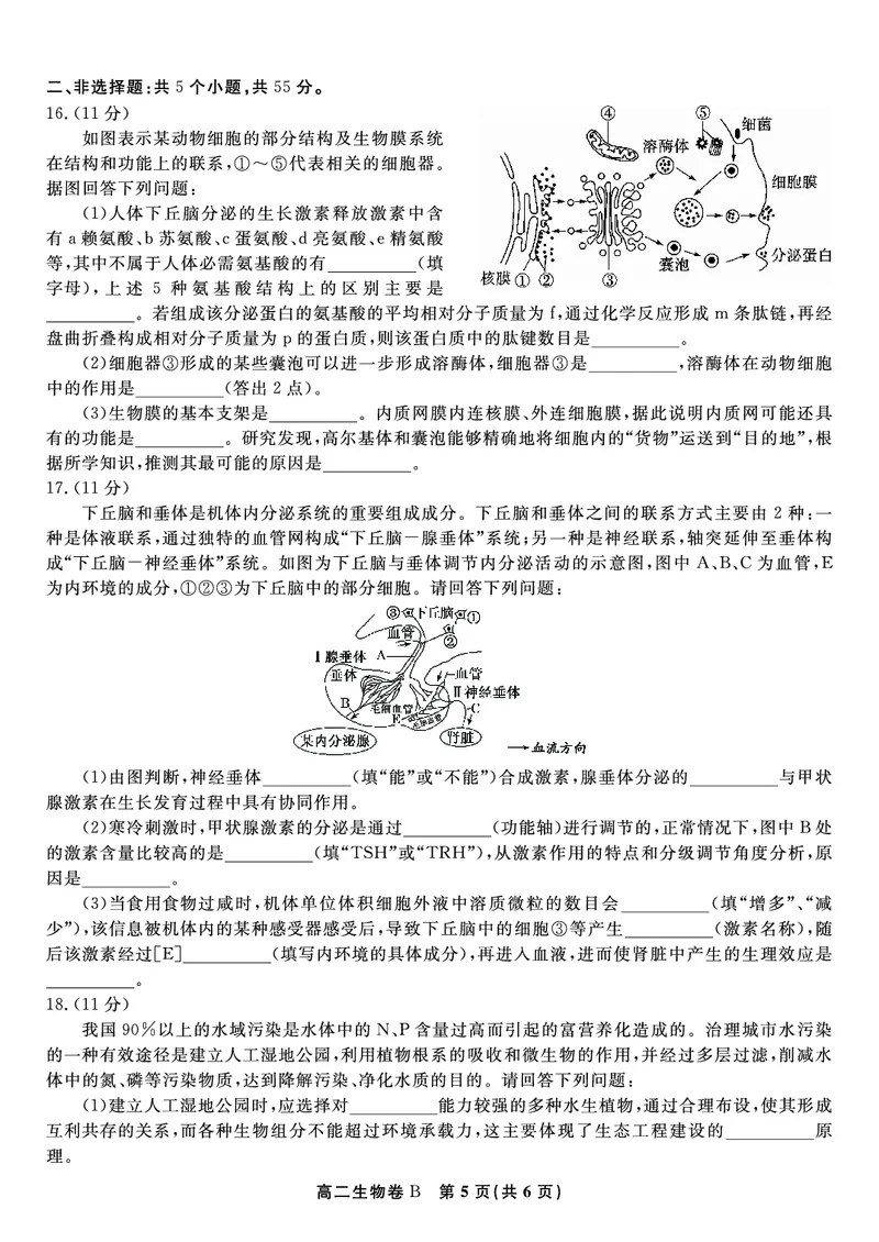 生物试题B&middot;2025年7月高二期末联考_2025年7月_250705安徽省金榜教育2024-2025学年高二下学期期末考试（全科）