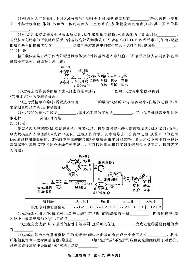 生物试题B&middot;2025年7月高二期末联考_2025年7月_250705安徽省金榜教育2024-2025学年高二下学期期末考试（全科）