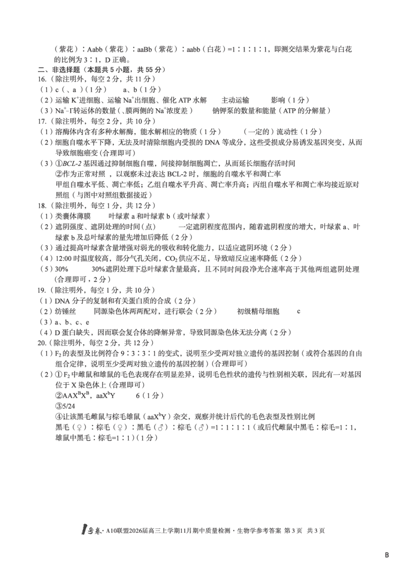 生物学答案（B卷）1号卷&middot;A10联盟2026届高三上学期11月期中质量检测生物学答案B_2025年11月_251115安徽省A10联盟2026届高三上学期11月期中质量检测（全科）