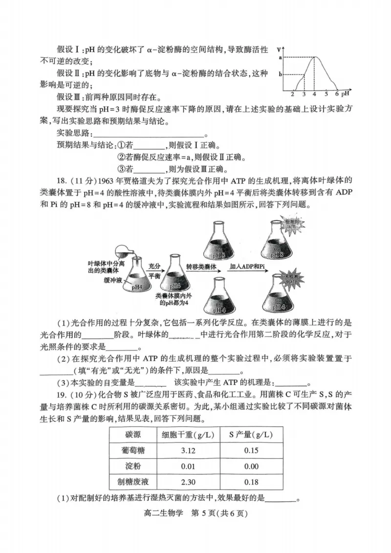生物试卷_2025年7月_250714河南省许昌市XCS2024-2025学年第二学期高二期末教学质量检测（全科）_河南省许昌市XCS2024-2025学年第二学期高二期末教学质量检测生物