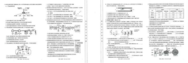 福州市八县（市，区）协作校2024-2025学年第二学期期末联考生物_2025年7月_250717金太阳&middot;福建省福州市八县（市，区）协作校2024-2025学年第二学期期末联考（25-570B）（全科）