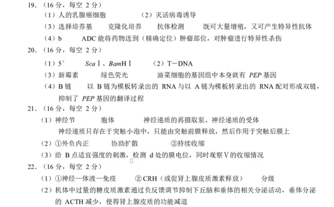 生物2024-2025学年高二下六月考参考答案_2025年6月_250620湖北省荆州市沙市中学2024-2025学年高二下学期6月月考（全科）_湖北省荆州市沙市中学2024-2025学年高二下学期6月月考生物试题