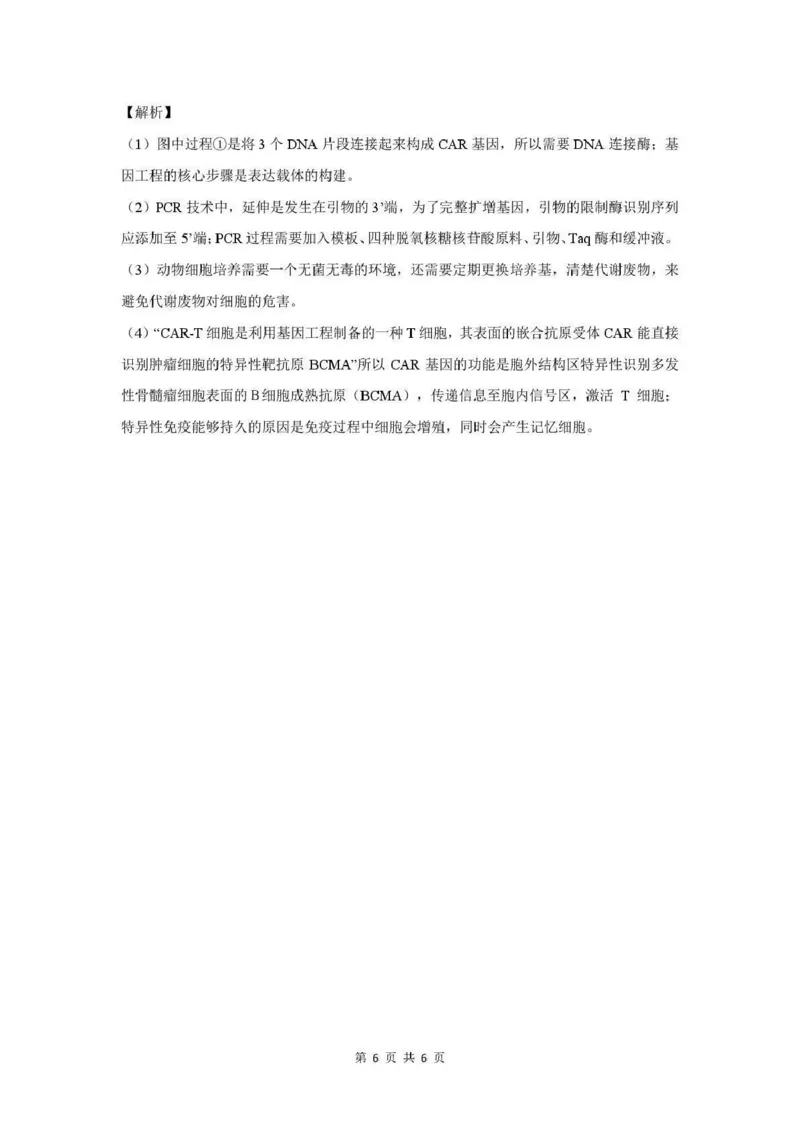 生物答案-茂名市2024-2025高二下期末_2025年7月_250707广东省茂名市2024-2025学年高二下学期期末教学质量监测（全科）_广东省茂名市2024-2025学年高二下学期期末教学质量监测生物