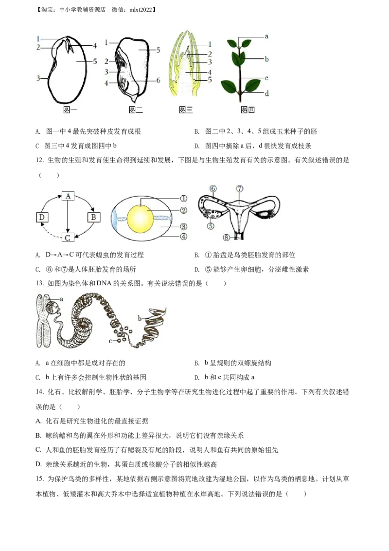 精品解析：2022年山东省菏泽市中考生物真题（原卷版）_中考真题_8.生物中考真题2015-2024年_2022年全国中考生物114份14