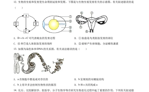 精品解析：2022年山东省菏泽市中考生物真题（原卷版）_中考真题_8.生物中考真题2015-2024年_2022年全国中考生物114份14