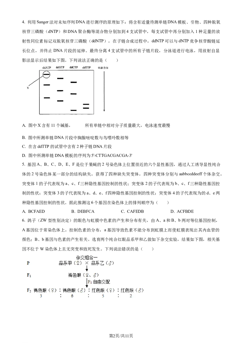 精品解析：山东省济南市2023-2024学年高三上学期期末学习质量检测生物试题（原卷版）_2024届山东省济南市高三上学期期末学习质量检测