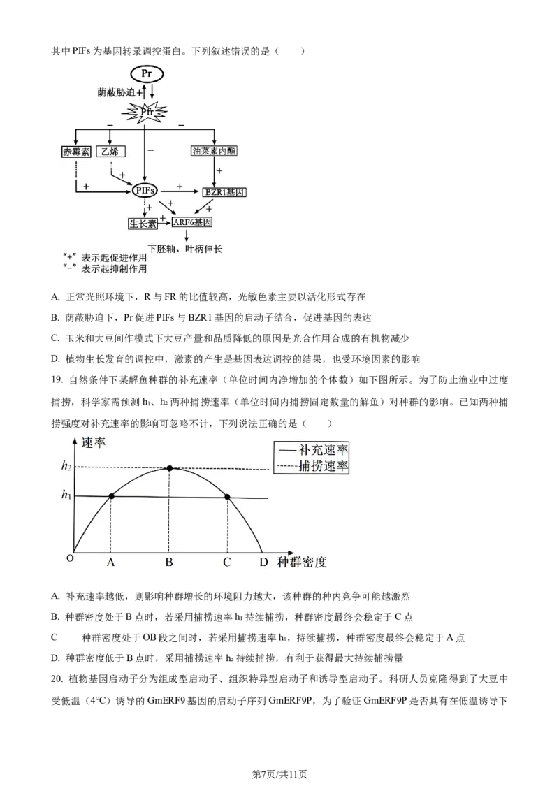 精品解析：山东省济南市2023-2024学年高三上学期期末学习质量检测生物试题（原卷版）_2024届山东省济南市高三上学期期末学习质量检测