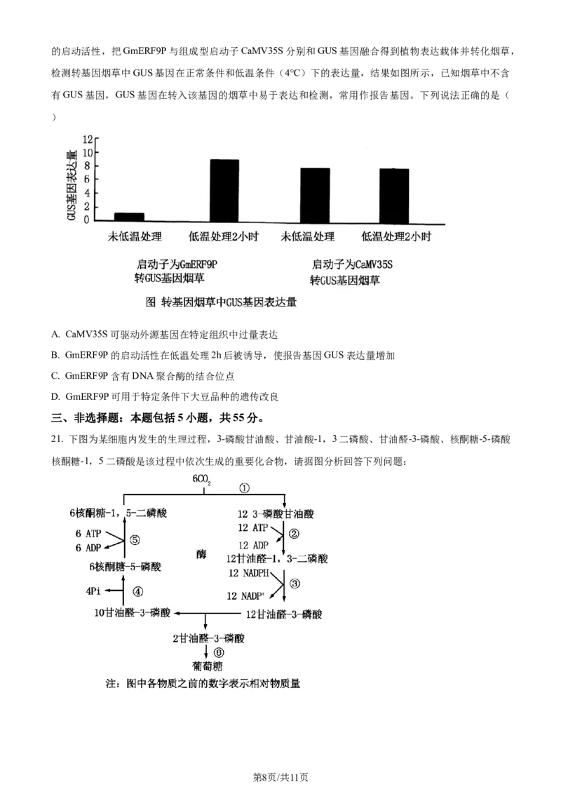精品解析：山东省济南市2023-2024学年高三上学期期末学习质量检测生物试题（原卷版）_2024届山东省济南市高三上学期期末学习质量检测