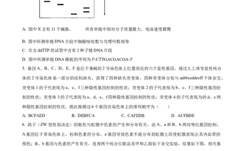 精品解析：山东省济南市2023-2024学年高三上学期期末学习质量检测生物试题（原卷版）_2024届山东省济南市高三上学期期末学习质量检测