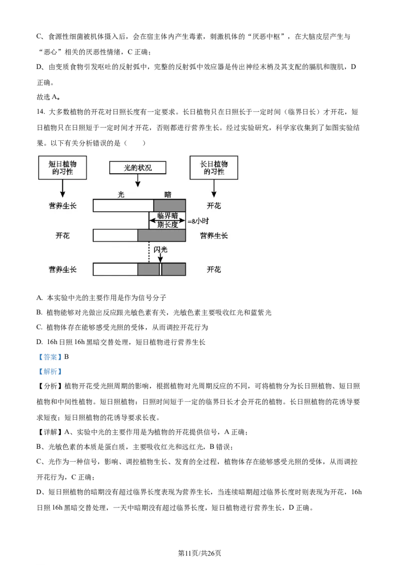 精品解析：2024届山东省名校高三模拟预测生物试题（解析版）_2024届山东省高中名校高三上学期12月统一调研考试_山东省高中名校2024届高三上学期12月统一调研考试生物