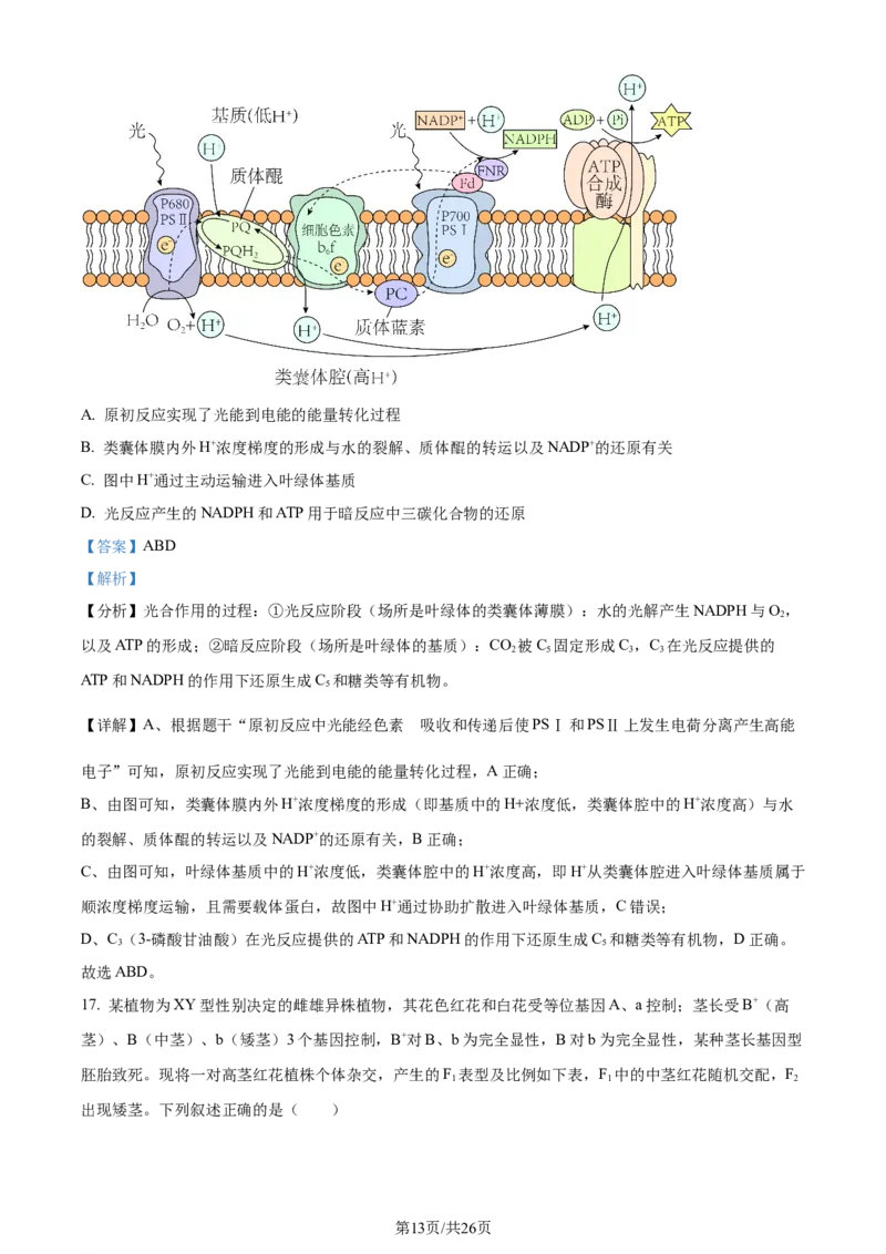 精品解析：2024届山东省名校高三模拟预测生物试题（解析版）_2024届山东省高中名校高三上学期12月统一调研考试_山东省高中名校2024届高三上学期12月统一调研考试生物
