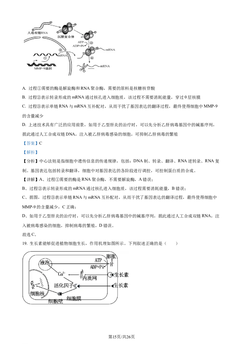 精品解析：2024届山东省名校高三模拟预测生物试题（解析版）_2024届山东省高中名校高三上学期12月统一调研考试_山东省高中名校2024届高三上学期12月统一调研考试生物