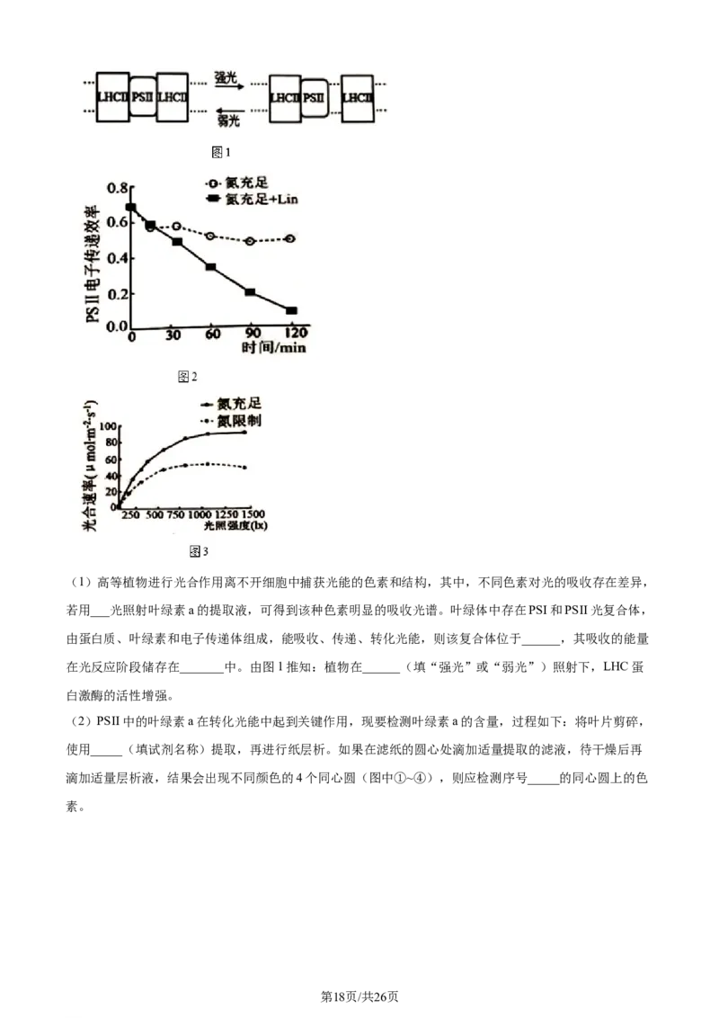 精品解析：2024届山东省名校高三模拟预测生物试题（解析版）_2024届山东省高中名校高三上学期12月统一调研考试_山东省高中名校2024届高三上学期12月统一调研考试生物