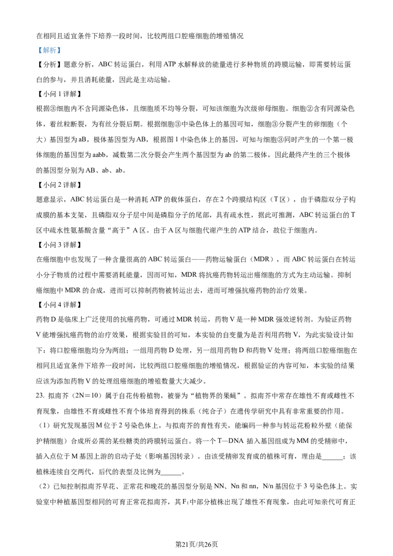 精品解析：2024届山东省名校高三模拟预测生物试题（解析版）_2024届山东省高中名校高三上学期12月统一调研考试_山东省高中名校2024届高三上学期12月统一调研考试生物