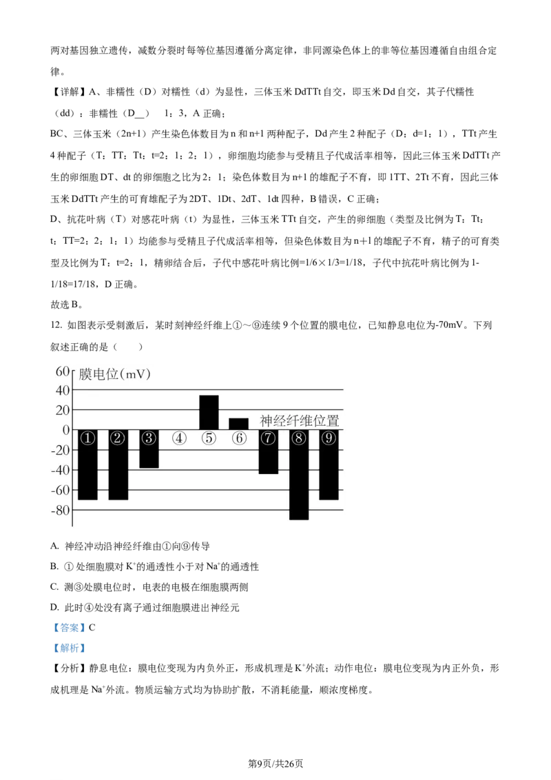 精品解析：2024届山东省名校高三模拟预测生物试题（解析版）_2024届山东省高中名校高三上学期12月统一调研考试_山东省高中名校2024届高三上学期12月统一调研考试生物