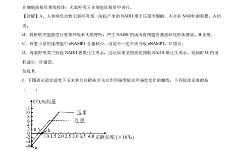 精品解析：2024届山东省名校高三模拟预测生物试题（解析版）_2024届山东省高中名校高三上学期12月统一调研考试_山东省高中名校2024届高三上学期12月统一调研考试生物