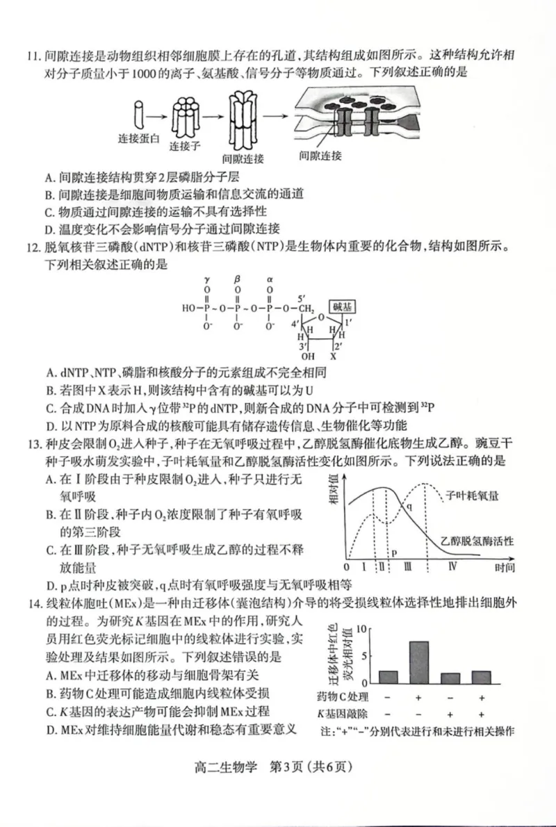 高二生物试题_2025年7月_250702山西省太原市2024-2025学年高二下学期期末（全科）_太原市2024-2025学年高二下学期期末生物