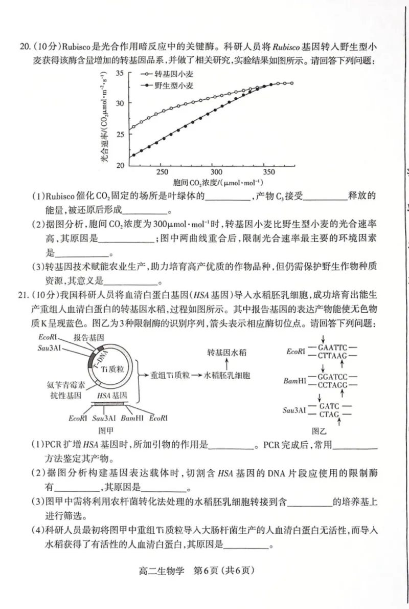 高二生物试题_2025年7月_250702山西省太原市2024-2025学年高二下学期期末（全科）_太原市2024-2025学年高二下学期期末生物